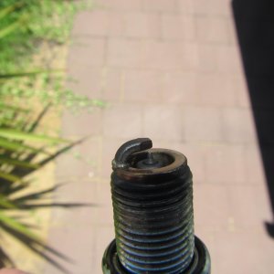 gas gas plug.jpg