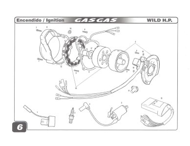 97 250 and Wild HP 300 ignition.jpg