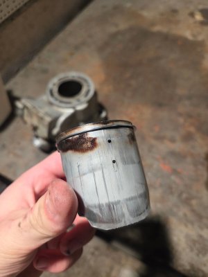 20260323_221209 (1).jpg